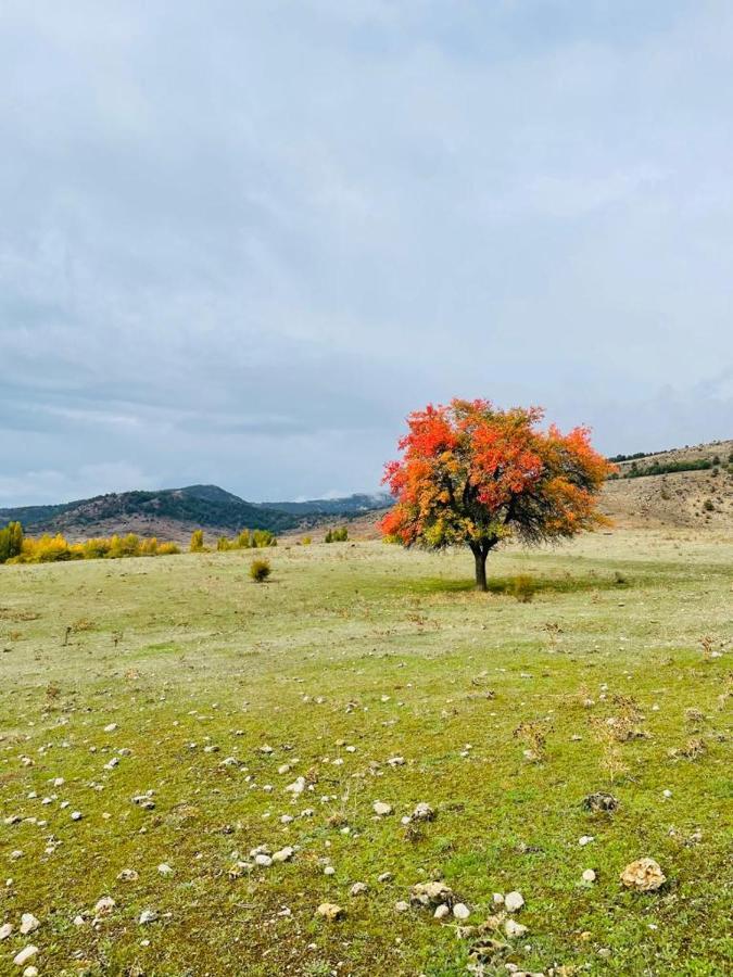 Alojamiento Rural Los Hacheros Трагасете Экстерьер фото