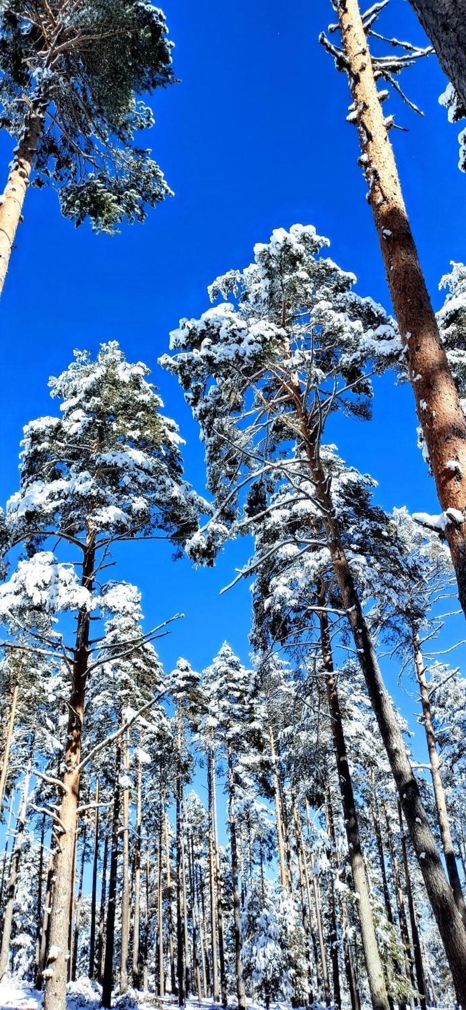 Alojamiento Rural Los Hacheros Трагасете Экстерьер фото