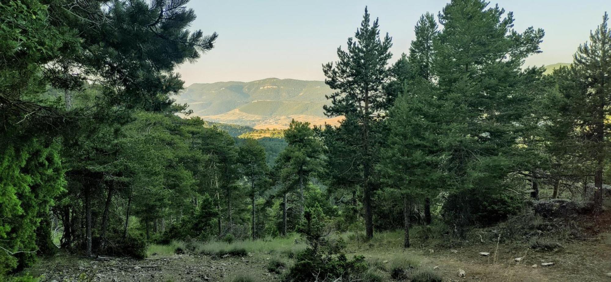 Alojamiento Rural Los Hacheros Трагасете Номер фото